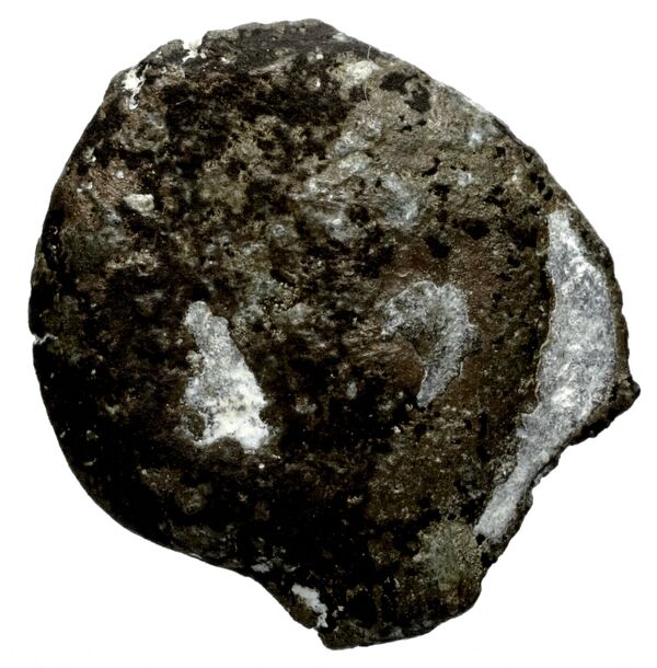 Seleucid Coins (part 2) 1715, аверс, bnf-hrc