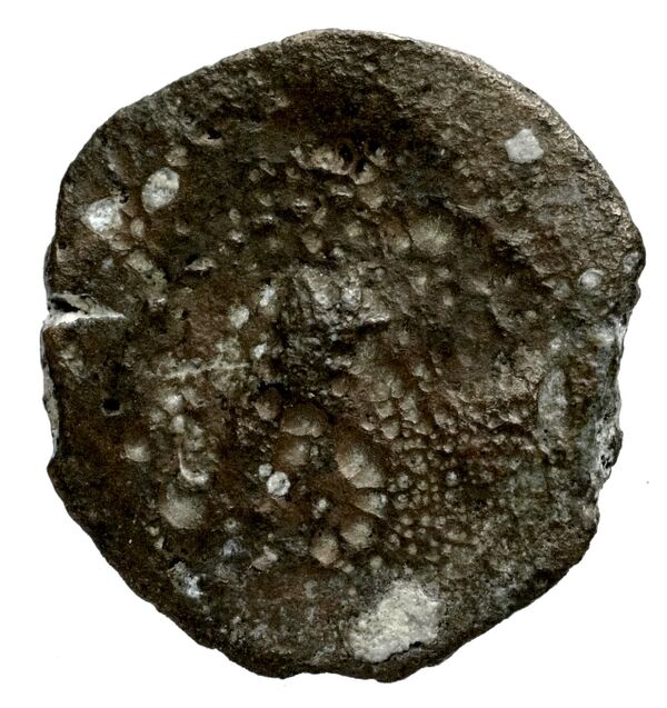 Seleucid Coins (part 2) 1715, реверс, bnf-hrc