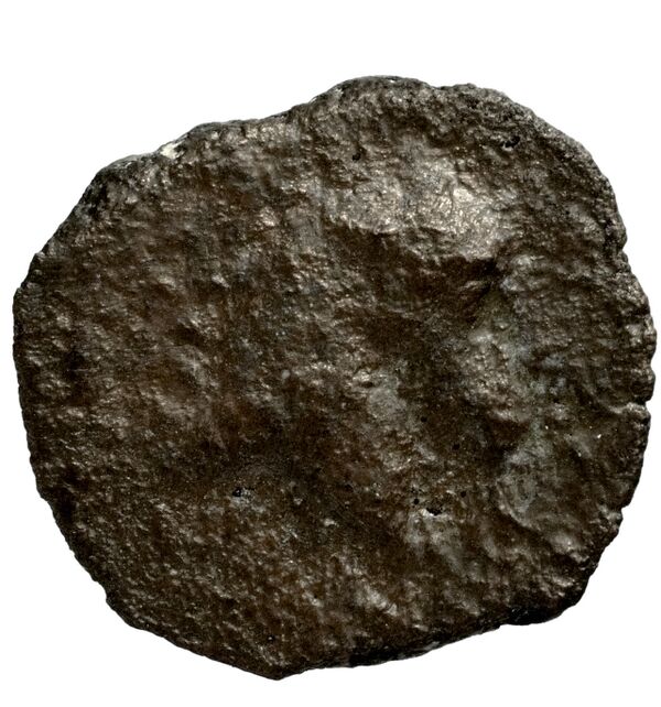 Seleucid Coins (part 2) 1715, реверс, bnf-hrc