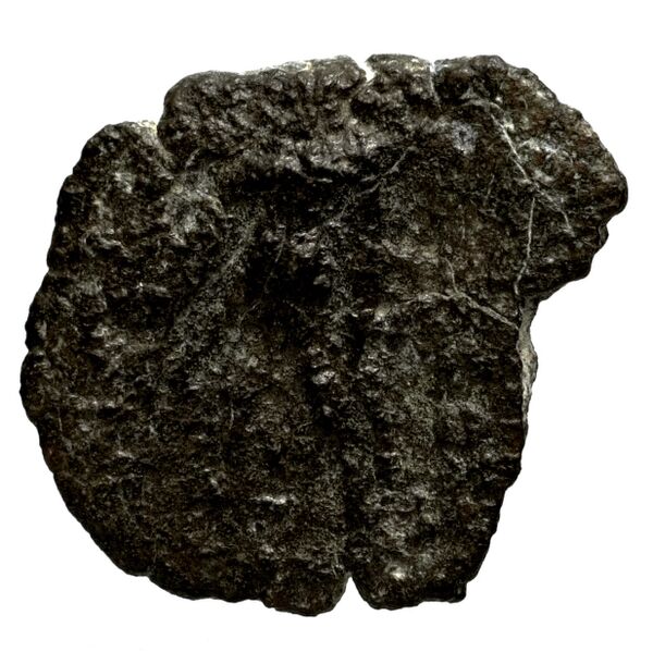 Seleucid Coins (part 2) 1868, реверс, bnf-hrc