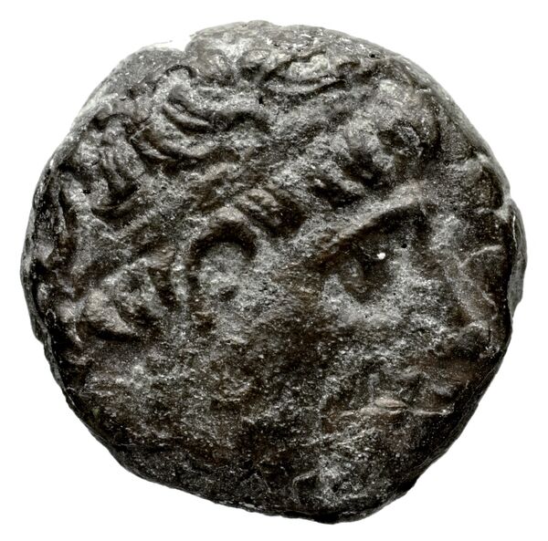 аверс Seleucid Coins (part 1) 404