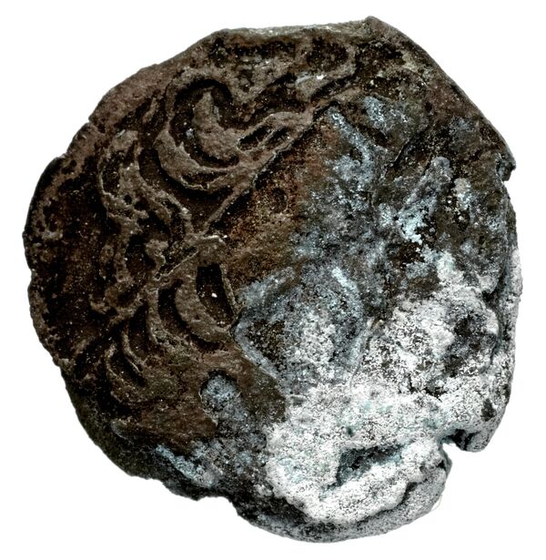 Seleucid Coins (part 1) 404, аверс, bnf-hrc