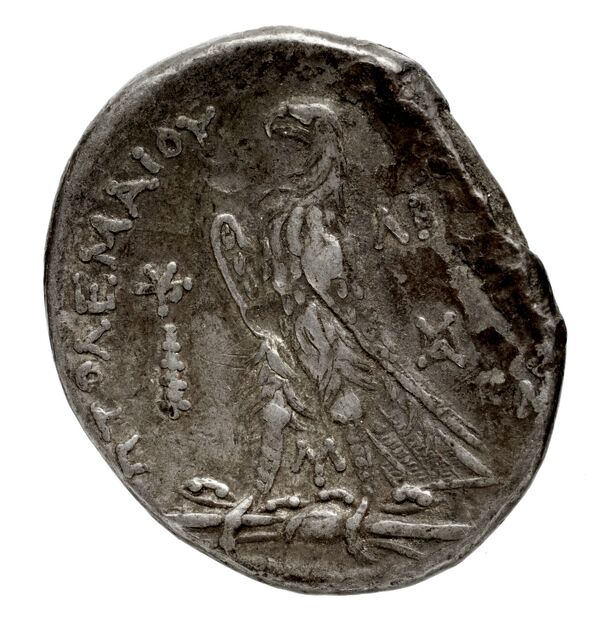 Coins of the Ptolemaic Empire Vol. I, Part 1, no. 591, реверс, bnf-hrc