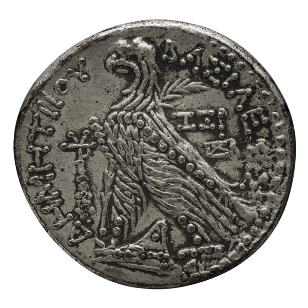реверс Seleucid Coins (part 2) 1959.1a