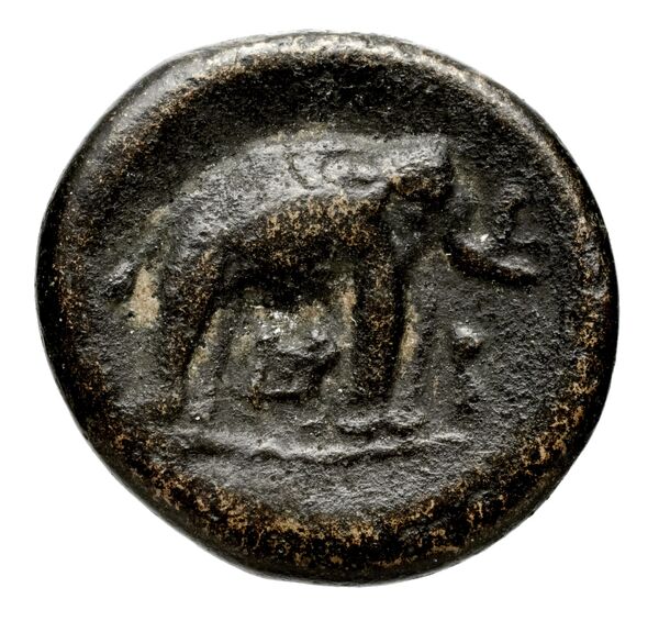 реверс Seleucid Coins (part 1) 129b