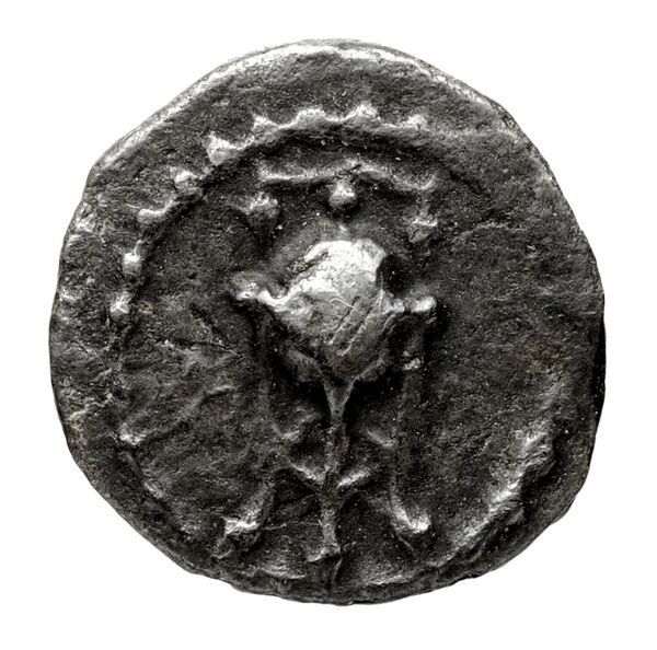 аверс Seleucid Coins (part 1) 134