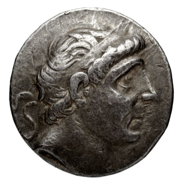 Seleucid Coins (part 1) 587.4a, аверс, bnf-hrc