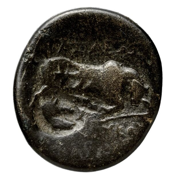 Seleucid Coins (part 1) 21.2, реверс, bnf-hrc