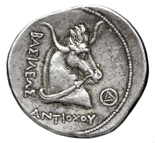 реверс Seleucid Coins (part 1) 428
