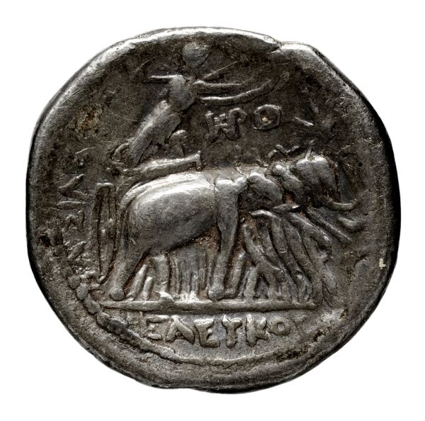 реверс Seleucid Coins (part 1) 131.12