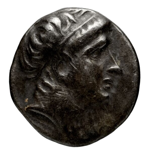аверс Seleucid Coins (part 1) 613.1