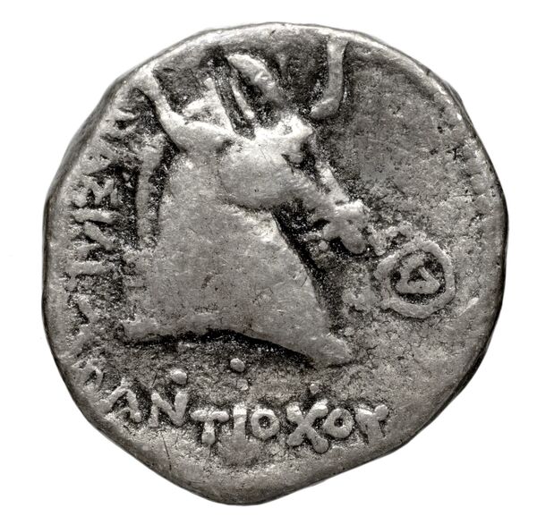 реверс Seleucid Coins (part 1) 432.3a