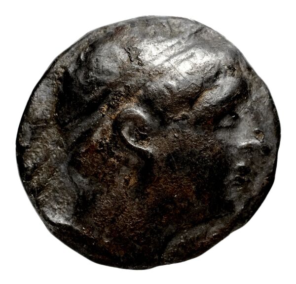 obverse Seleucid Coins (part 1) 831.10