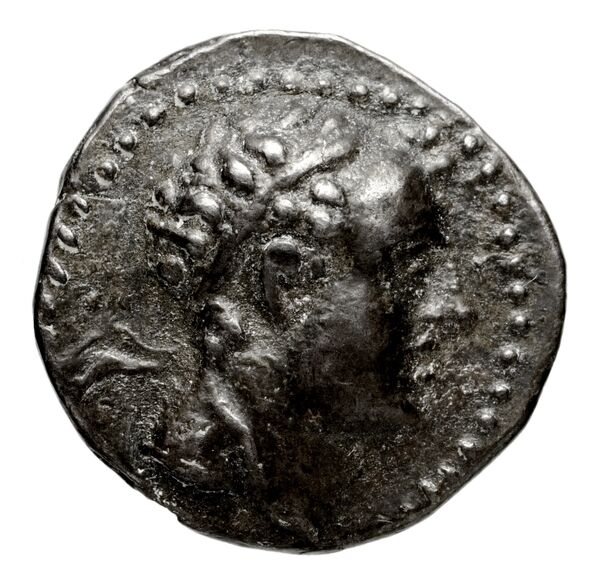 аверс Seleucid Coins (part 2) 1548