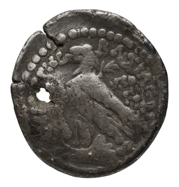 реверс Seleucid Coins (part 2) 1967