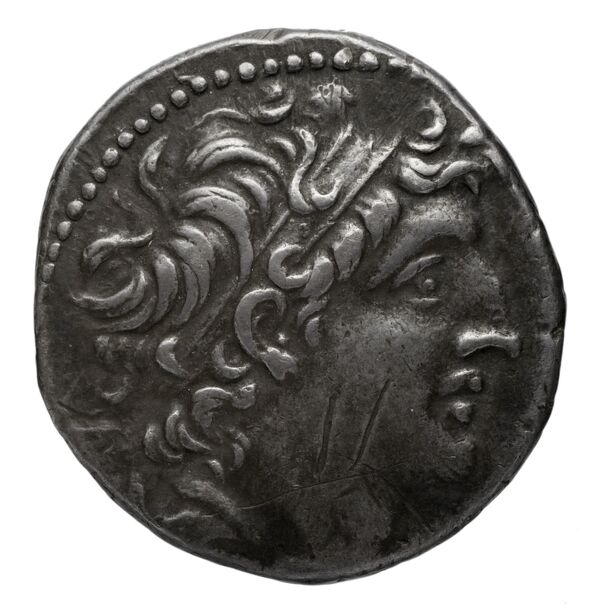 obverse Seleucid Coins (part 2) 2340.3b
