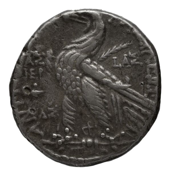 reverse Seleucid Coins (part 2) 2340.3b