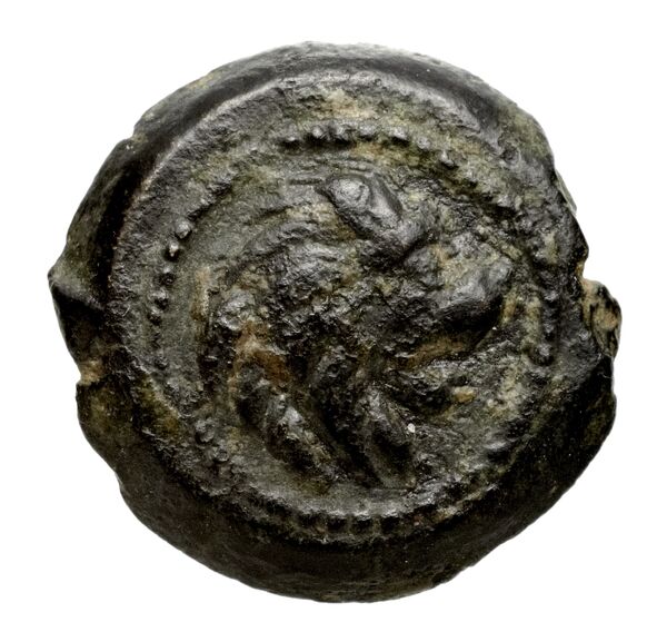 аверс Seleucid Coins (part 2) 2068.11