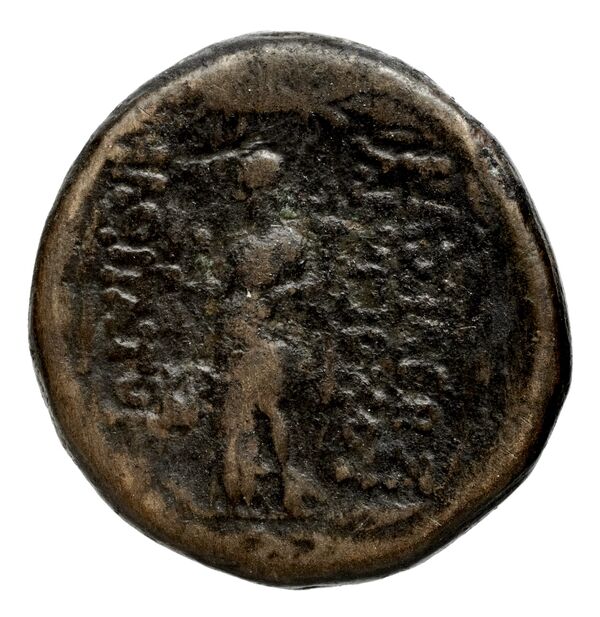 реверс Seleucid Coins (part 2) 2376