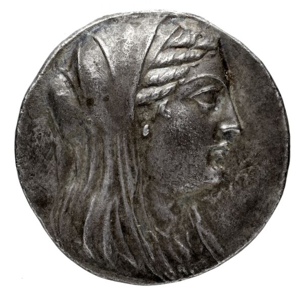 Птолемей III Эвергет obv
