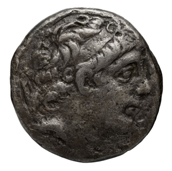 аверс Seleucid Coins (part 2) 2383