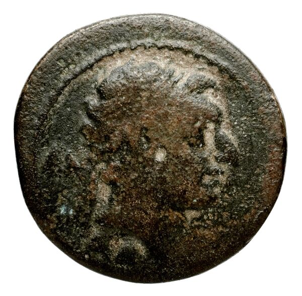 Seleucid Coins (part 2) 1666.4, аверс, bnf-hrc