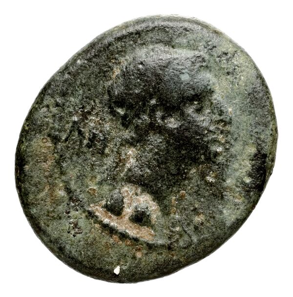 Seleucid Coins (part 2) 1667.2, аверс, bnf-hrc