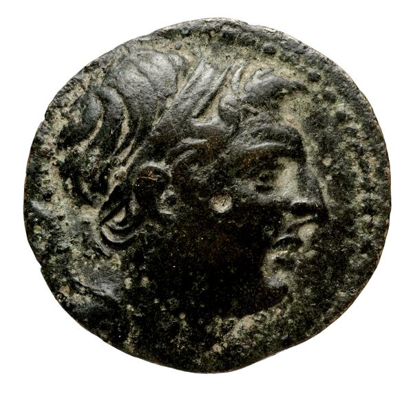 Seleucid Coins (part 2) 1671, аверс, bnf-hrc