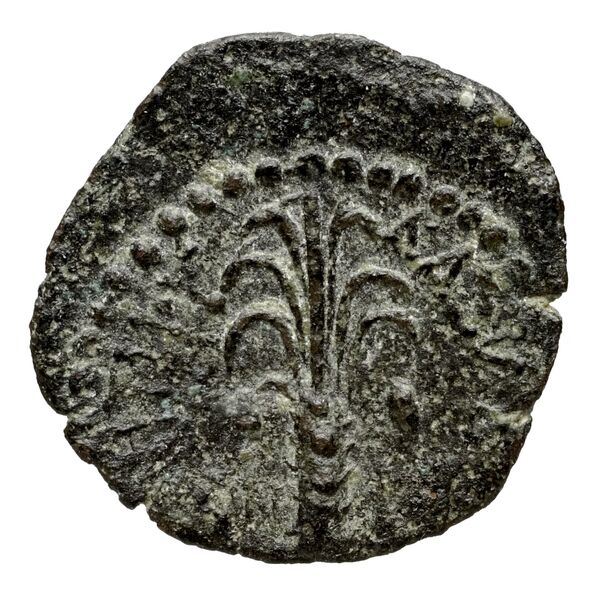 реверс Seleucid Coins (part 2) 1676.1