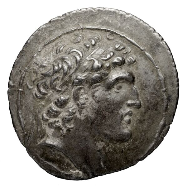Seleucid Coins (part 2) 1781.3a, аверс, bnf-hrc