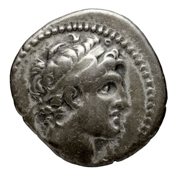Seleucid Coins (part 2) 1785.3c, аверс, bnf-hrc