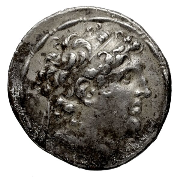 Seleucid Coins (part 2) 1782.2e, аверс, bnf-hrc