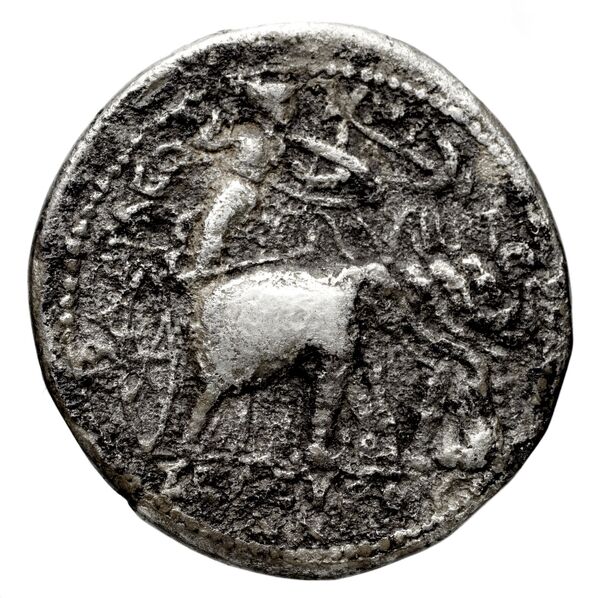 реверс Seleucid Coins (part 1) 130.12b