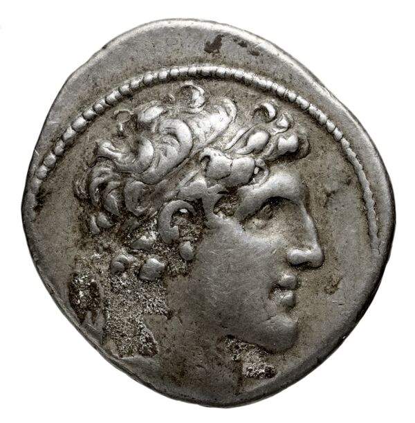 Seleucid Coins (part 2) 1785.1j, аверс, bnf-hrc