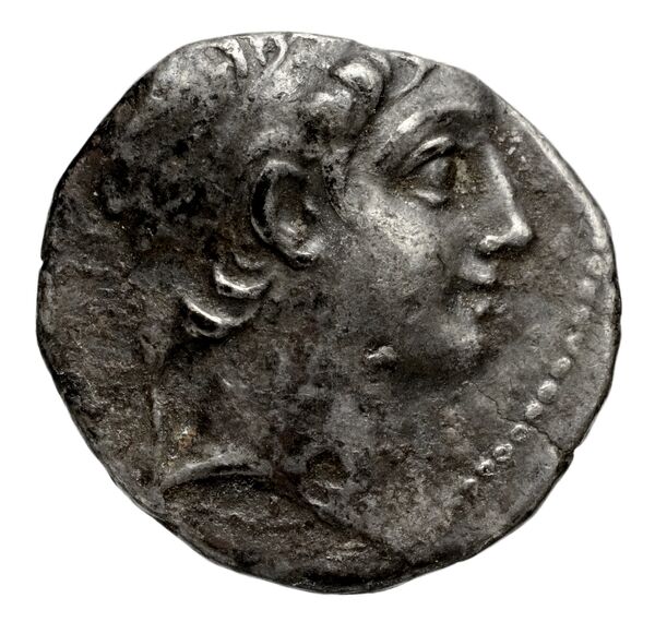Деметрий II Никатор obv