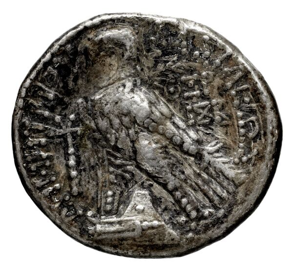 реверс Seleucid Coins (part 2) 1959.3a