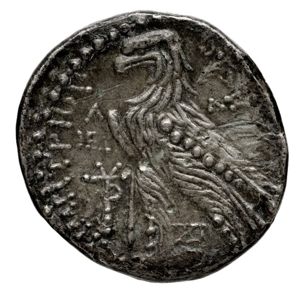 реверс Seleucid Coins (part 2) 1962.2