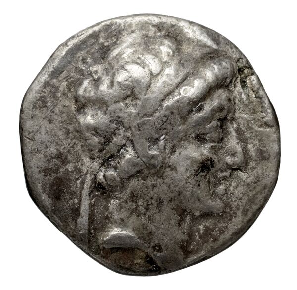 obverse Seleucid Coins (part 2) 1985.1
