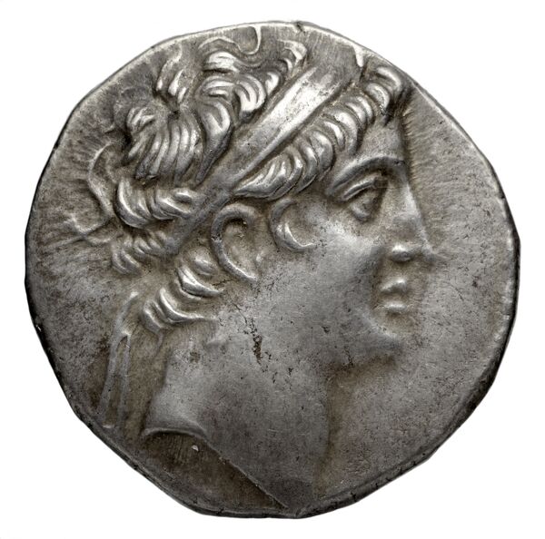 Seleucid Coins (part 2) 1984.1, аверс, bnf-hrc