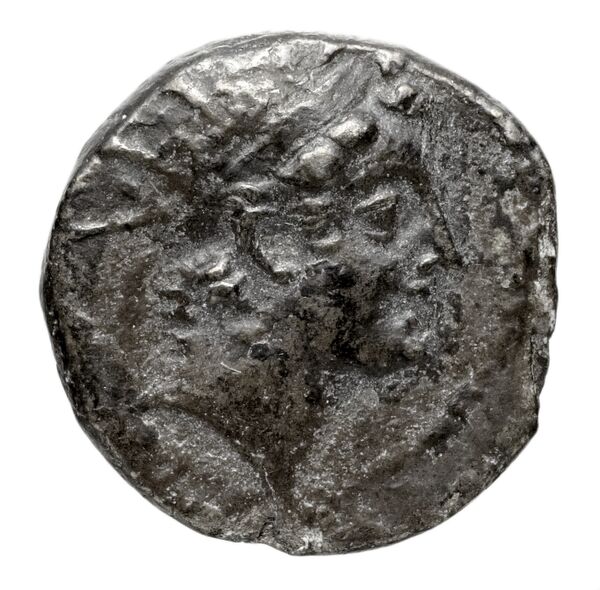 Seleucid Coins (part 2) 2013, аверс, bnf-hrc