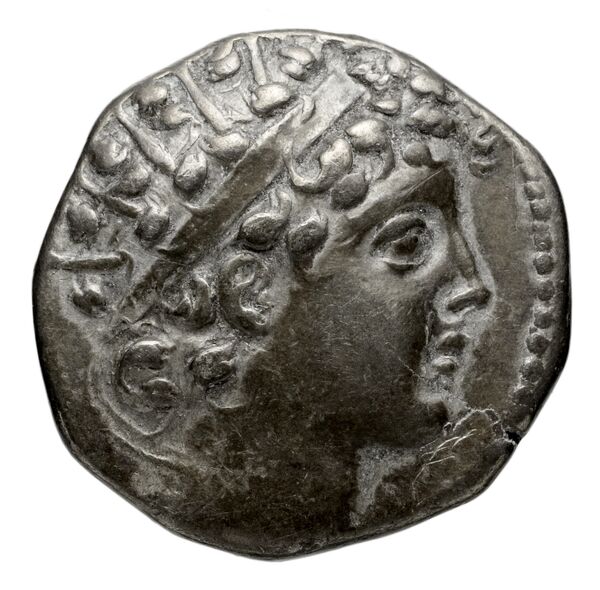 аверс Seleucid Coins (part 2) 2002.1e