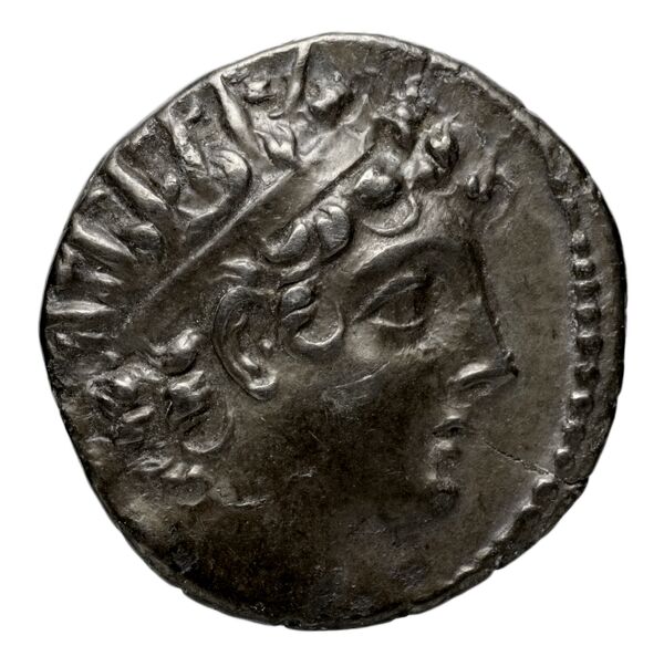 аверс Seleucid Coins (part 2) 2011.2h