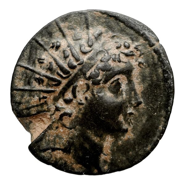 аверс Seleucid Coins (part 2) 2015.2d