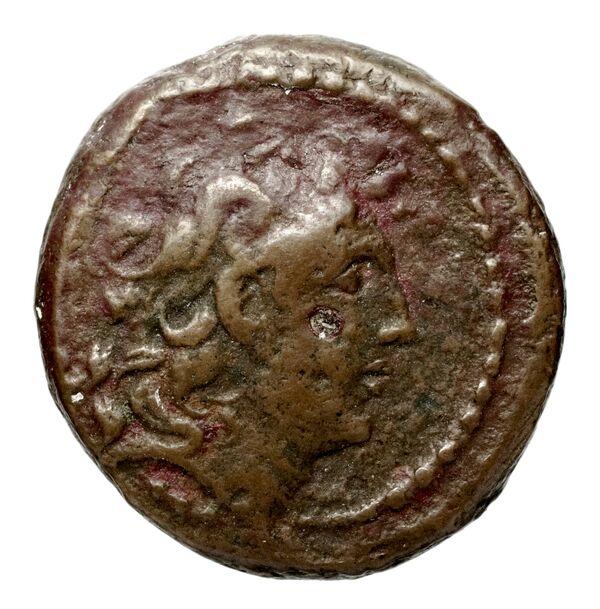 Seleucid Coins (part 2) 2034.2d, аверс, bnf-hrc
