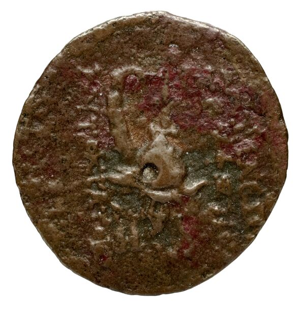 Seleucid Coins (part 2) 2034.2d, реверс, bnf-hrc