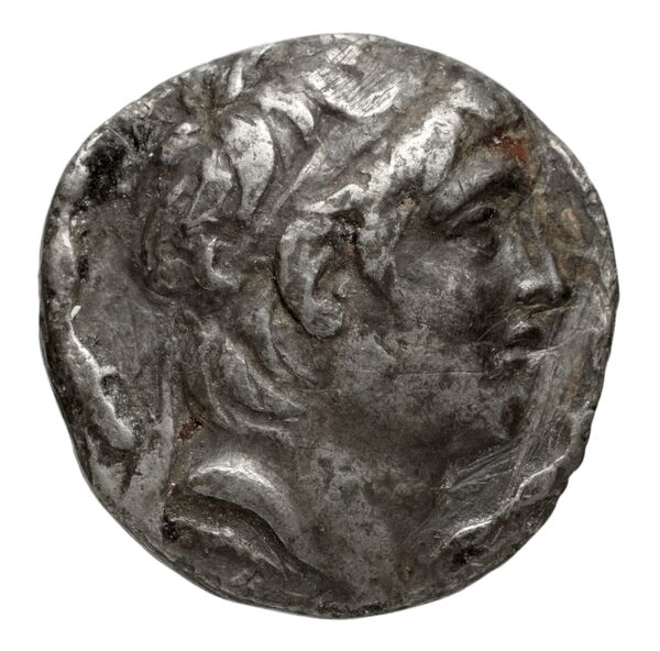 аверс Seleucid Coins (part 2) 2062.2b