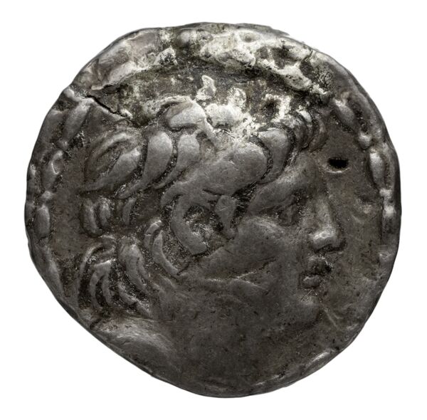 аверс Seleucid Coins (part 2) 2062.3d