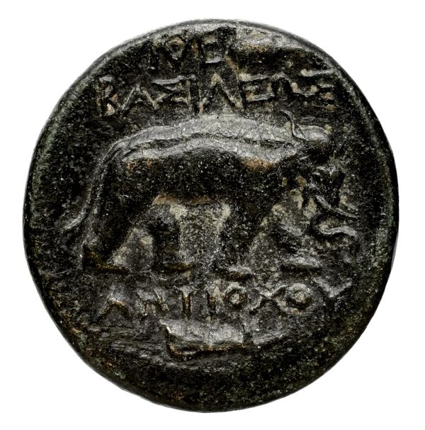 Seleucid Coins (part 1) 339.4, реверс, bnf-hrc