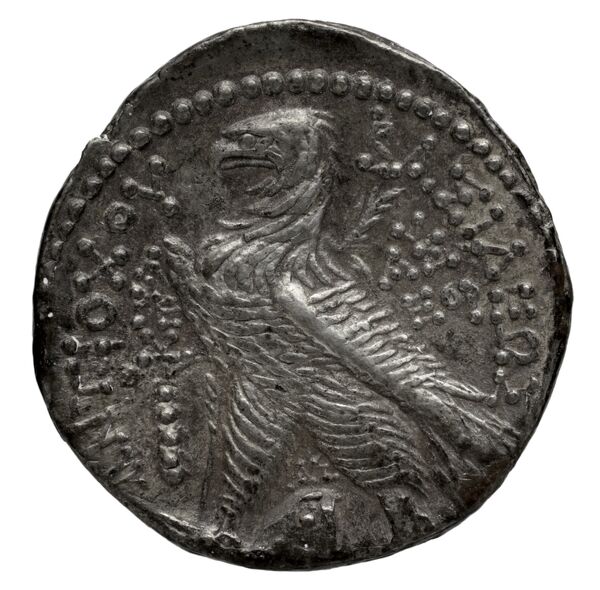 реверс Seleucid Coins (part 2) 2109.3b