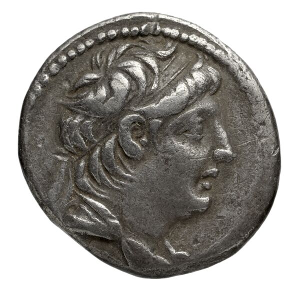 аверс Seleucid Coins (part 2) 2117